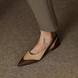 Susiecloths Pointed Toe Pu Colorblock Low Heels